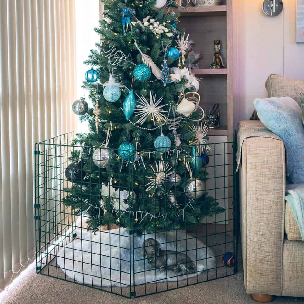 Christmas tree fence