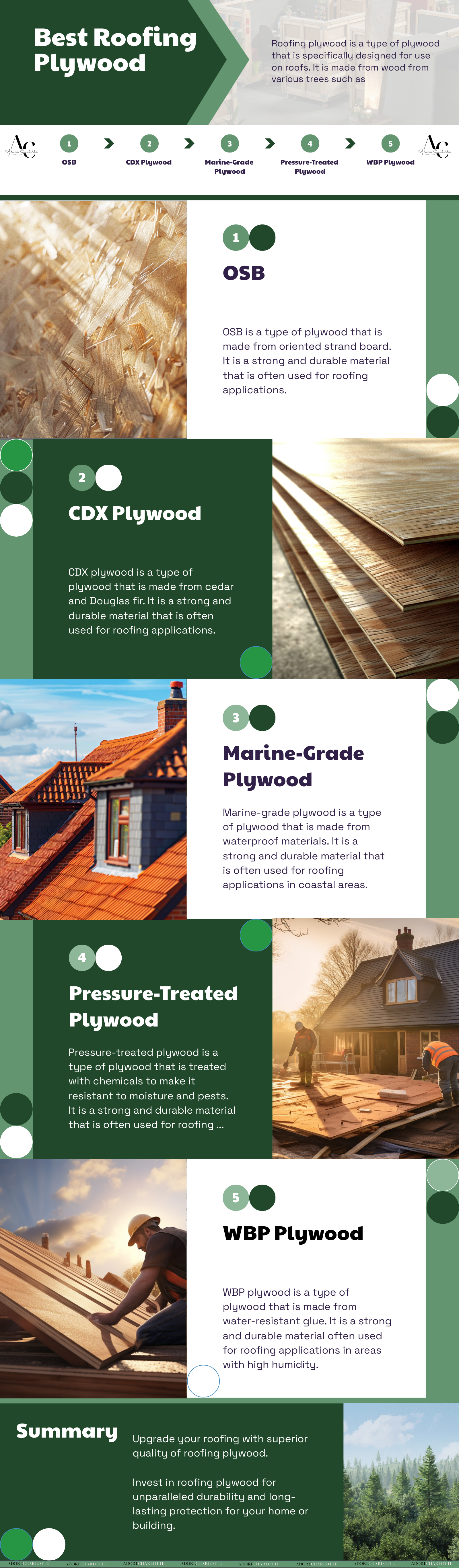 Best Roofing Plywood Infograph