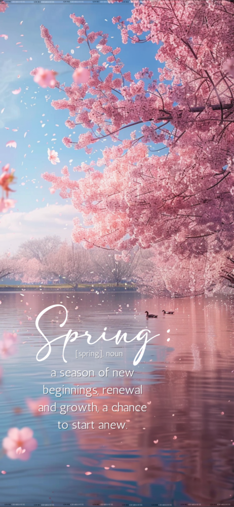 An Iphone Mockup with Cherry Blossoms Theme iphone wallpapers Spring Quote.