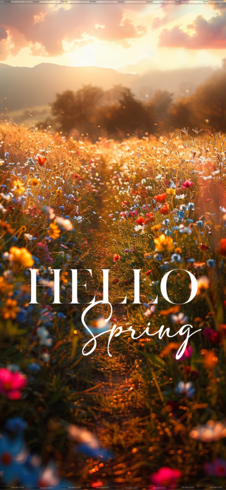 An Iphone Mockup with Wildflower Meadows at Sunset Theme iphone wallpapers Hello Spring.