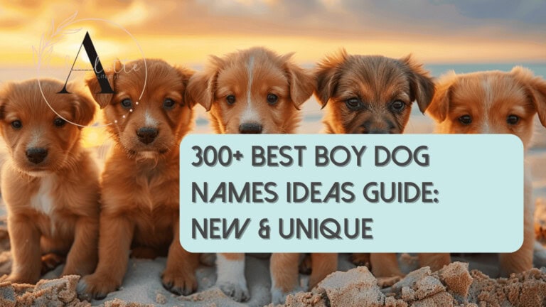 5 adorable cute puppies on a beach at sunset posing for a group picture