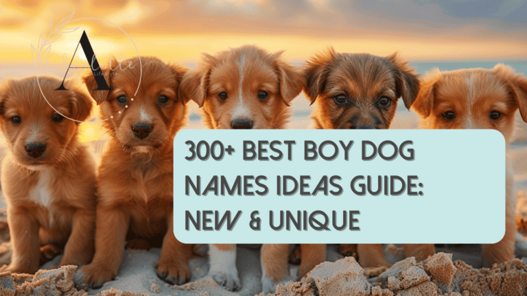 300+ Best Boy Dog Names Ideas Guide: New & Unique