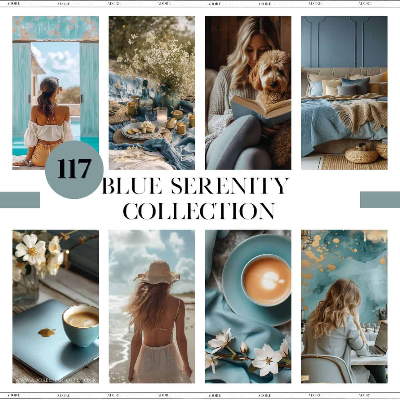 Adore Charlotte 117 Blue Serenity Collection MRR