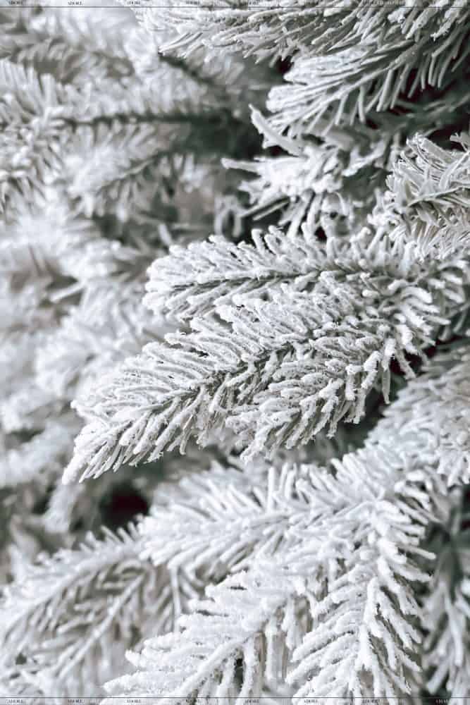 Flocked Fir Christmas Tree